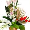 Heartful Bliss - Click here to View more details about this Product